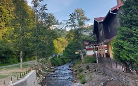 Dor de Munte Transfăgarasan